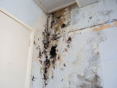 About Lumindor Rise - water damage restoration experts in Baldwin Park